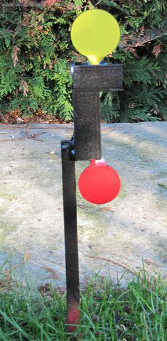 standard practice target