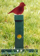 Resetting Bird