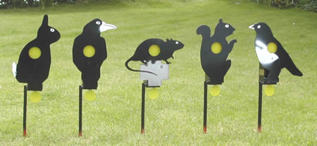 Cordless air rifle targets