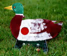 Double Duck