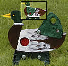 Duck and wing