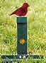 Resetting Bird