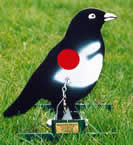 Field Target Magpie